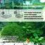 Top 2 Chiếc Máy Ăn Cá Tự Động Điều Chỉnh Phần Có Thể Điều Chỉnh Cho Bể Cá Ổn Định Chất Thải Hệ Sinh Thái