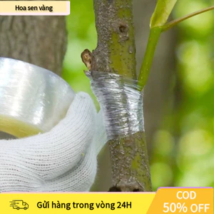 【24H】Màng keo ghép cây tự dính khổ 3cm cuộn 150m chất liệu mềm dẻo dễ sử dụng cho các công việc ghép cây chuyên nghiệp