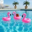 Giá đỡ cốc bơm hơi PVC Thiết kế chim lửa Đế lót ly đồ uống nổi cho bữa tiệc bể bơi