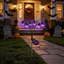 Đèn năng lượng mặt trời DONOVANQQ, Đồ trang trí Halloween hình quả bóng nhện màu tím, Đèn sàn sử dụng ngoài trời ma Sân vườn ngoài trời