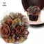 Dây buộc tóc hoa Dây cao su nữ thanh lịch Phụ kiện tóc Scrunchies lớn đơn giản dành cho nữ [Mina]