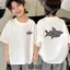 Áo thun ngắn tay 100% cotton bé trai mùa hè 2025 cotton nửa tay màu trắng hàng đầu Quần áo trẻ em cá mập D6WK