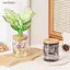 Ziyulinyuk Clear Grey Hydroponic Plastic Planter Hoa văn dương xỉ tinh tế Nắp gỗ mịn cho văn phòng tại nhà Máy tính để bàn Quà tặng trang trí VN
