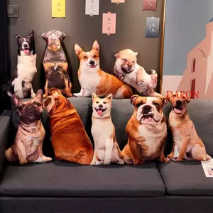 DARON Chó Sang Trọng Đồ Chơi, Labrador Corgi Sofa Phòng Ngủ Chó Nhồi Bông Gối, Thú Cưng Người Yêu Sống Động Như Thật Trang Trí Nhà Mô Phỏng 3D Đệm Chó Thú Nhồi Bông