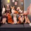 DARON Chó Sang Trọng Đồ Chơi, Labrador Corgi Sofa Phòng Ngủ Chó Nhồi Bông Gối, Thú Cưng Người Yêu Sống Động Như Thật Trang Trí Nhà Mô Phỏng 3D Đệm Chó Thú Nhồi Bông