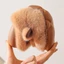Giày Cotton GAVESTO, Dép Trẻ Em Capybara Ấm Áp, Giày Làm Dày Dễ Thương Mềm Mại Chống Trơn Trượt Mùa Đông