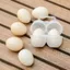 Hộp Bảo Quản Trứng GILL, Hộp Trứng Ngoài Trời Chống Sốc Hai Ngăn, Bảo Vệ Di Động Trong Suốt Chống Giọt Trứng Dã Ngoại