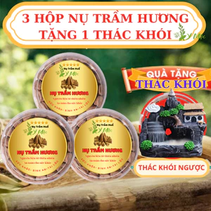 3 Hộp Nụ Trầm Hương Tặng 1 Thác Khói tiểu cảnh. Nụ trầm hương Y Mộc Huế xông nhà thư giãn thờ cúng