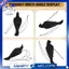 Con quạ chết treo thực tế Lifesize Quạ lông đen cực lớn
