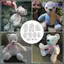 10 Chiếc Bộ Thước Mẫu Gấu Nhớ Bộ Thước Mẫu Gấu Bộ Thước Thích Hợp Cho Mẫu Gấu 12 Inch