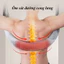 Đai Treo Giãn Cột Sống Đa Năng- Giảm Chấn, Điều Chỉnh Lực Kéo, Giảm Đau Thoái Hóa & Cong Vẹo