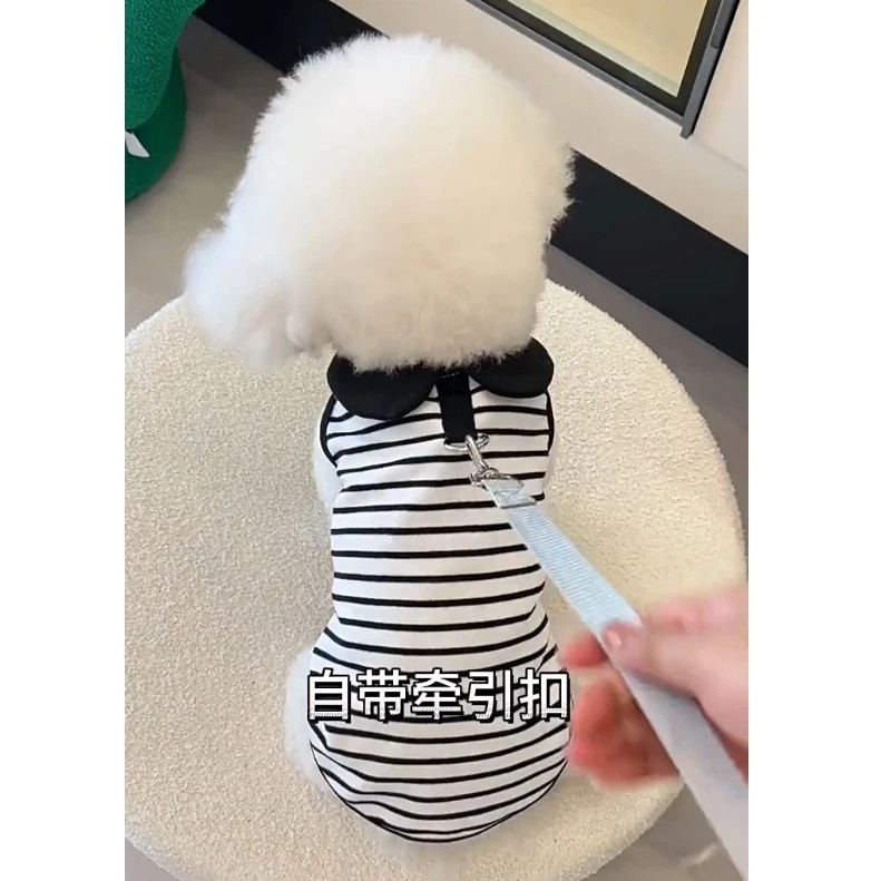 Mùa Xuân Mùa Hè Thú Cưng Áo polo Quần Áo Chó Nhỏ Thời Trang Ve Áo Phong Cách Teddy Bichon Pomeranian Quần Áo Chó