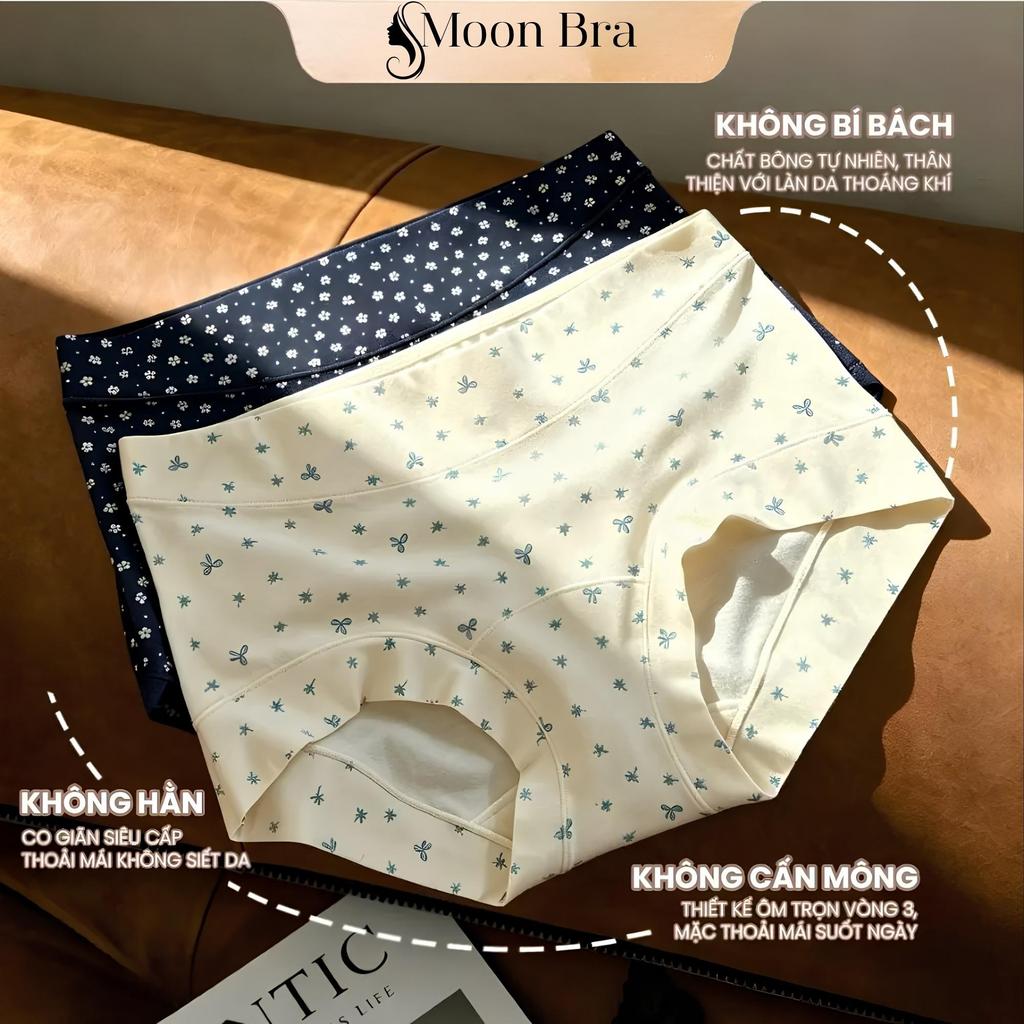 [Q88-LOẠI 1] Set 3-6 Quần Lót Boxer Nữ 95% Cotton Kháng Khuẩn Chống Hằn Ôm V3