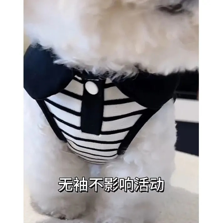 Mùa Xuân Mùa Hè Thú Cưng Áo polo Quần Áo Chó Nhỏ Thời Trang Ve Áo Phong Cách Teddy Bichon Pomeranian Quần Áo Chó