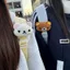 Móc khóa sang trọng hình gấu dễ thương cho ba lô, Trang trí dây an toàn ô tô, Phụ kiện mặt dây chuyền động vật mềm mại