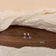 Tai Xuyên s925 Bạc Kim Bông Tai Bông Tai Tinh Tế Nữ Bông Tai Nữ Đơn Giản Phù Hợp Với Xoắn Ốc Bông Tai Nhấp Nháy Kim Cương Nhấp Nháy Bông Tai Nhấp Nháy