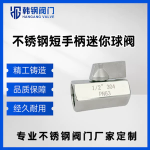 Thép không gỉ 304 Tay cầm ngắn Dây đôi bên trong Van bi Mini Lục giác Van nhỏ CWYWYWYWYW