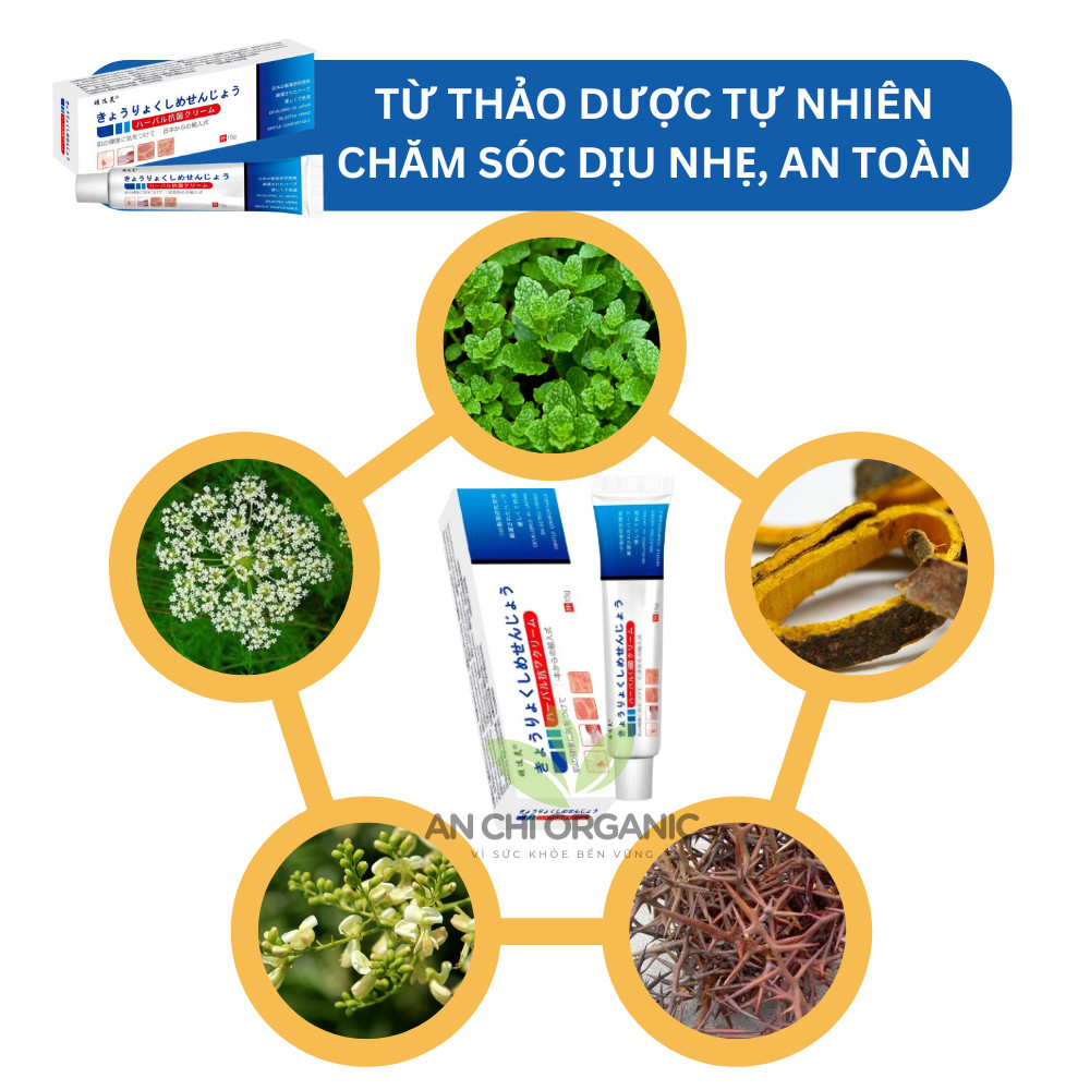 Kem Bôi Nấm Ngứa Viêm Da Cơ Địa NHẬT BẢN Hắc Lào, Tổ Đỉa, Vẩy Nến, Á Sừng, Lang Ben Hiệu Quả An Chi Organic