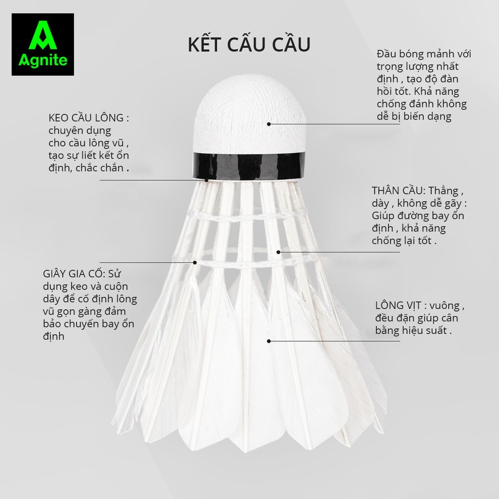 Quả cầu lông Agnite chính hãng, ống cầu 12 quả cầu lông vũ siêu bền, chịu va đập tốt