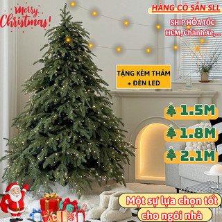 IKEA Mama Cây Thông PE+PVC Xanh, Bền Đẹp, Đèn LED & Thảm Lông Giáng Sinh