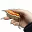 Dễ Thương Cà Rốt Hình Fidget Móc Khóa Bền Nhẹ Giảm Căng Thẳng Cho Bapa Trang Trí Trẻ Em Quà Tặng Sinh Nhật Sử Dụng Hàng Ngày