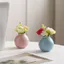Morandi Phong Cách Bình Nhỏ Cho Trang Trí Văn Phòng Tại Nhà Bàn Tối Giản Hoa Tàu Hiện Đại Thẩm Mỹ Mini Chai Trang Trí Scandinavia Thiết Kế Nội Thất Giọng