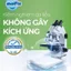 Combo 2 Thùng Khăn Giấy Ướt Molfix - Khăn Ướt Mềm Mại, Chính Hãng, Giá Tốt