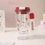 Bình Nước Cherry 580Ml Dễ Thương Sinh Viên Cốc Nhựa Chống Rò Rỉ Ống Hút Đôi Cho Thể Thao Ngoài Trời Trường Học Văn Phòng Du Lịch