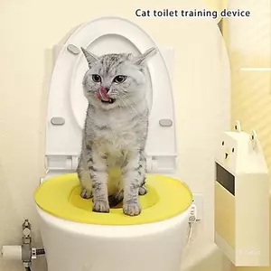 Hệ thống quản lý chất thải cho mèo bền vững hàng đầu Dễ dàng làm sạch Phụ kiện an toàn