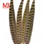 Touch of Nature Ringneck Pheasant Feathers 4 / Chiếc, Tự Nhiên