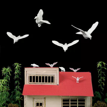 Bán Khuyến Nghị 5 Mini Pigeons Xây Dựng Mô Hình Động Vật Mô Hình Hòa Bình Bồ Câu DIY Cảnh Phù Hợp Với Mô Hình Làm hw01