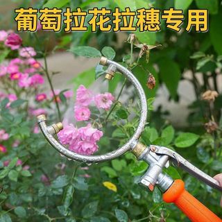 Vòi phun phun Atomizing Nông nghiệp Nho Kiwi Trái cây Mở rộng Mở vòng hoa màu đỏ Hình chữ U Mở rộng trái cây MK0Z