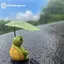 GE Nhựa Vườn Các Bức Tượng Động Vật Bộ 3 Ô Voi Rùa Ếch Cho Trẻ Em Để Bàn Bể Cá Kệ Trang Trí VN