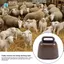 16 Chiếc Bò Ngựa Cừu Grazing Chuông Đồng Nhỏ Chuông Đồng Bò Dê Trang Trại Chuông Lớn Đường Dài Ngựa Sắt Chuông