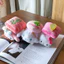 BH2 Sanrio Hello Kitty Cinnamoroll MY MELODY Nhật Bản sushi sang trọng túi mặt dây chuyền quà tặng cho trẻ em HB2