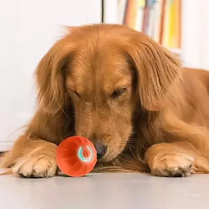 Đồ chơi cho chó xoay hàng đầu để vui chơi ngoài trời và huấn luyện chống nước hạng nặng