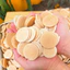 Bánh đồng tiền [Có hồ sơ công bố- hóa đơn VAT]