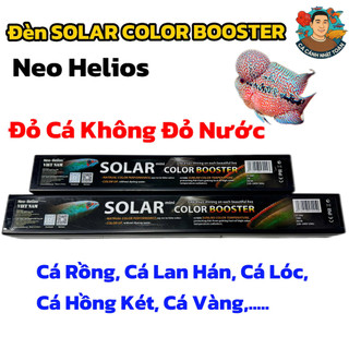 Đèn Solar Color Booster Nep Helios Đỏ Cá Không Đỏ Nước Cho Cá Rồng, Lan Hán, Hồng Két, Cá Vàng, Guppy,...
