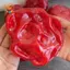 CANAMEK Dưa Hấu Slushy Squishy Đồ Chơi Chậm Bóp Mềm Fidget Đồ Chơi Giảm Căng Thẳng Đảng Ủng Hộ Trẻ Em Quà Tặng Sinh Nhật CSF