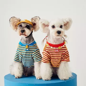 [Quần áo thú cưng] Quần áo cho chó mèo Áo thun sọc mùa thu phong cách mới Áo thun ngắn tay Teddy Schnauzer Shiba Inu Quần áo thú cưng cỡ vừa nhỏ cho chó 260709