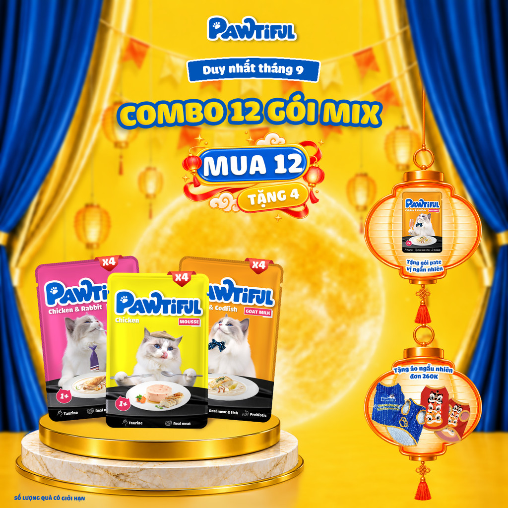 [MUA 12 GÓI TẶNG 4 GÓI] Combo 12 Túi thức ăn cho mèo Pawtiful Mix vị 70g x12