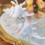 BeautifulHomeA Ocean Conch Kẹp Tóc Cua Biển Vỏ Hàn Quốc Lớn Vuốt Tóc Kẹp Tóc Thời Trang Hairgrips Dành Cho Nữ Bé Gái Phụ Kiện Tóc Đuôi Ngựa VN