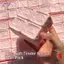 HFTOY Dâu Sữa Viên Bánh Mì Bóp Đồ Chơi Cảm Ứng Mềm Mại Giảm Căng Thẳng Tăng Chậm Cảm Giác Fidget Đồ Chơi Dành Cho Trẻ Em Người Lớn ~