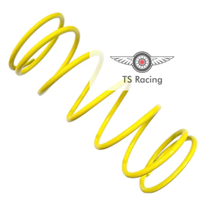 Lò xo trụ ( pulley spring ) vario 160 - pcx 160 - ab 160 2022-2023+ - click 160 - adv 160