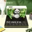 GE Creative 3D Giấy Khắc 2027 Lịch Để Bàn Tạo Kiểu Văn Phòng Hiện Đại VN