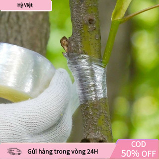 【Hỷ】Băng keo ghép cây tự dính GA345 khổ 5cm x 150m độ co giãn tốt thích hợp cho nhiều loại cây trồng khác nhau