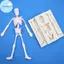 Pufangbliss Skeleton Halloween Skeleton Body Khuôn Silicon Fondant Bánh Trang Trí Dụng Cụ Sugarcraft Kẹo Đất Sét Sô Cô La Gumpaste Khuôn VN