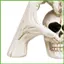 Halloween Đầu Lâu Gothic Đồng Hồ Đầu Tay Trái Tim Tượng Để Bàn Halloween Đầu Lâu Trang Trí Cho Gia Đình Phòng Ngủ Sống wipqsvn