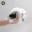 {TB & Bag} Bàn chải làm sạch bóng bọt biển tắm Puff Body Cleaner Tẩy tế bào chết Bàn chải Massage 3d Đồ dùng phòng tắm.