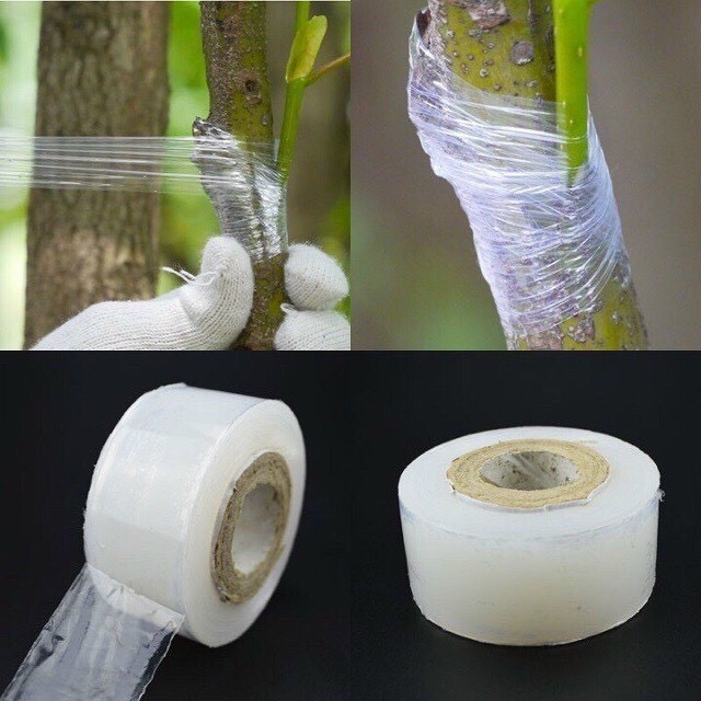 【COD】Màng keo ghép cây tự dính khổ 3cm cuộn 150m chất liệu mềm dẻo dễ sử dụng cho các công việc ghép cây chuyên nghiệp